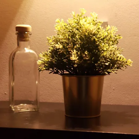 דירה Myapartment